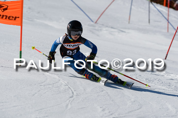 Ziener Cup WF,Finale, Quali + PSL, 30.03.2019