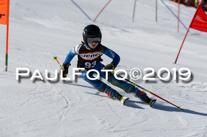 Ziener Cup WF,Finale, Quali + PSL, 30.03.2019