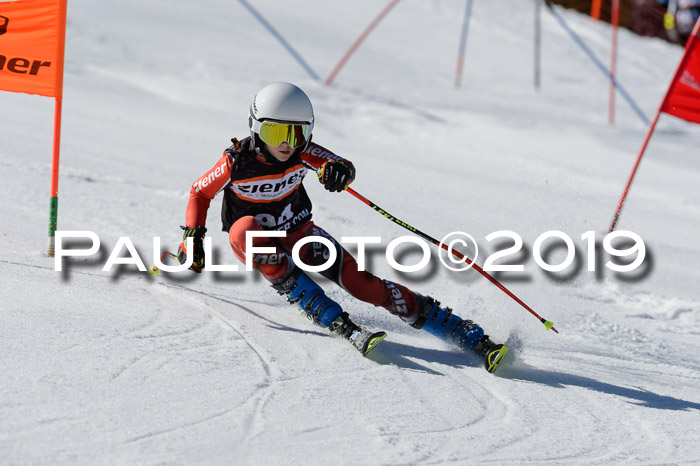 Ziener Cup WF,Finale, Quali + PSL, 30.03.2019