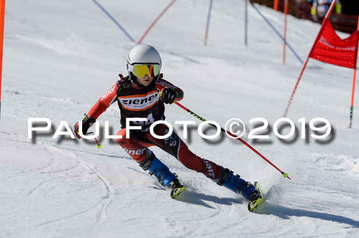 Ziener Cup WF,Finale, Quali + PSL, 30.03.2019