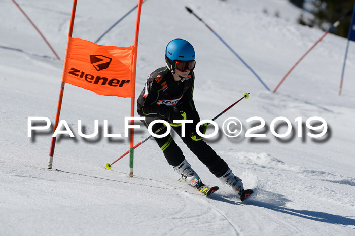 Ziener Cup WF,Finale, Quali + PSL, 30.03.2019