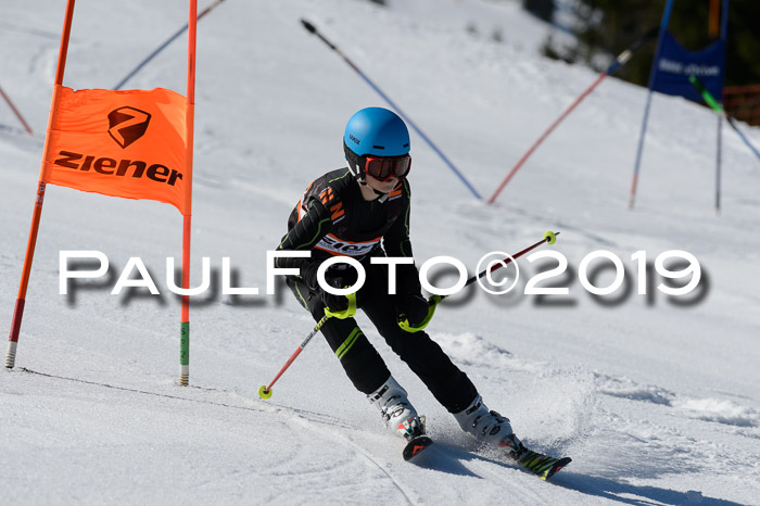Ziener Cup WF,Finale, Quali + PSL, 30.03.2019