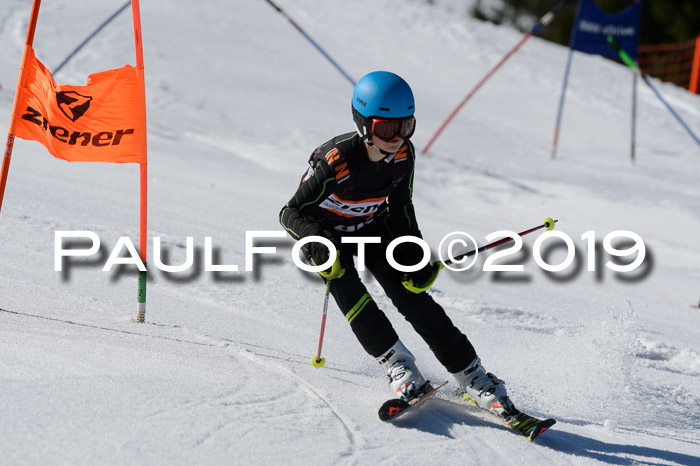 Ziener Cup WF,Finale, Quali + PSL, 30.03.2019