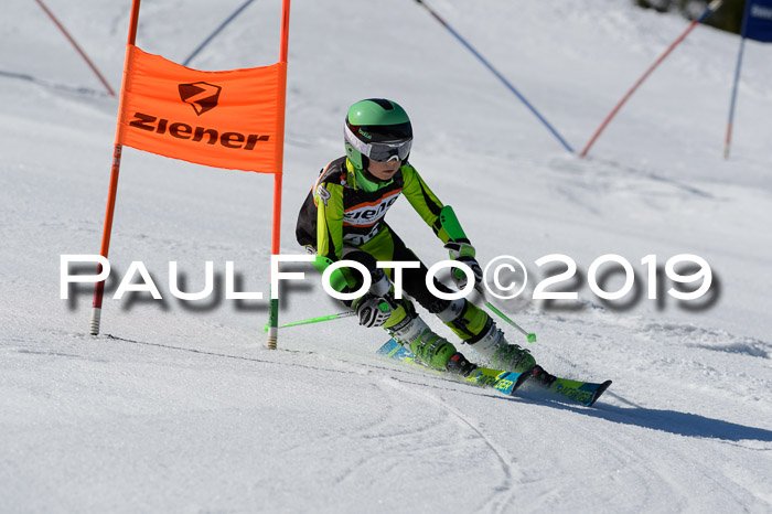 Ziener Cup WF,Finale, Quali + PSL, 30.03.2019