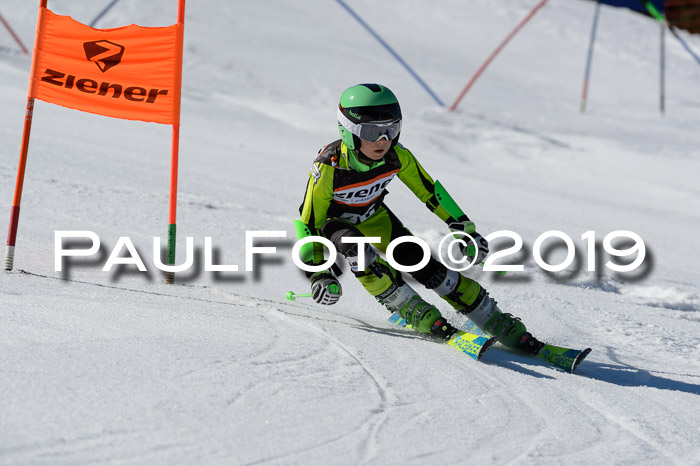 Ziener Cup WF,Finale, Quali + PSL, 30.03.2019