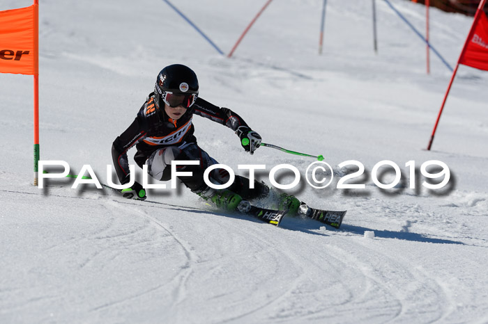 Ziener Cup WF,Finale, Quali + PSL, 30.03.2019