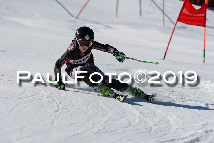 Ziener Cup WF,Finale, Quali + PSL, 30.03.2019