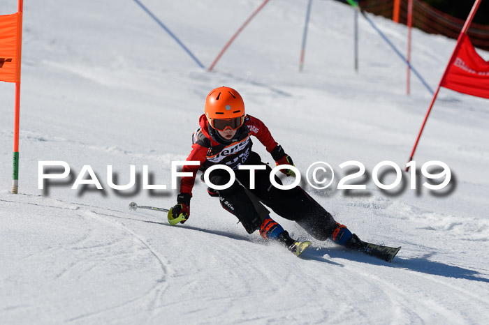 Ziener Cup WF,Finale, Quali + PSL, 30.03.2019