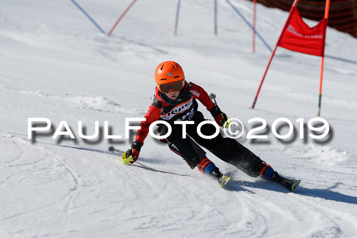 Ziener Cup WF,Finale, Quali + PSL, 30.03.2019