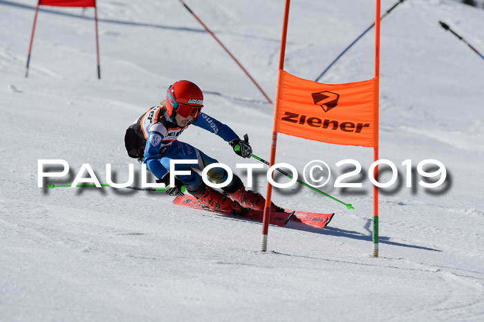 Ziener Cup WF,Finale, Quali + PSL, 30.03.2019