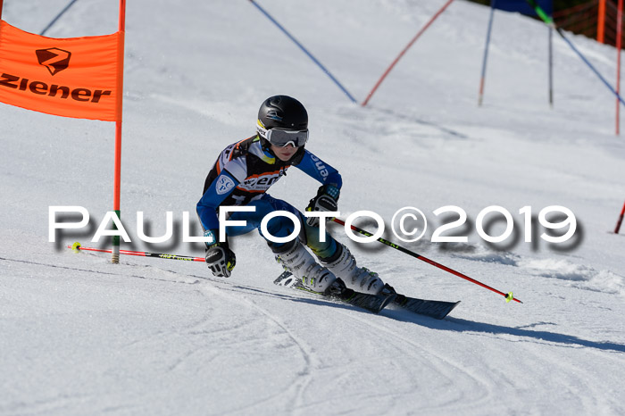 Ziener Cup WF,Finale, Quali + PSL, 30.03.2019