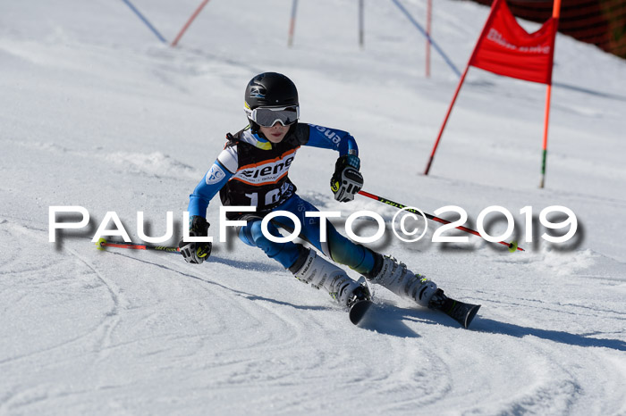Ziener Cup WF,Finale, Quali + PSL, 30.03.2019