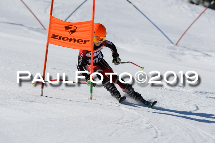 Ziener Cup WF,Finale, Quali + PSL, 30.03.2019