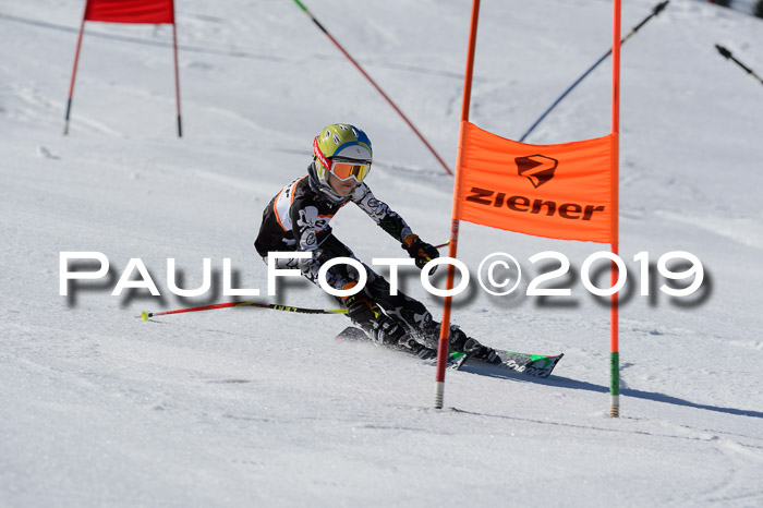 Ziener Cup WF,Finale, Quali + PSL, 30.03.2019