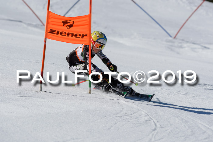 Ziener Cup WF,Finale, Quali + PSL, 30.03.2019