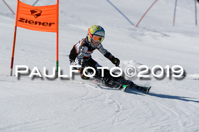 Ziener Cup WF,Finale, Quali + PSL, 30.03.2019