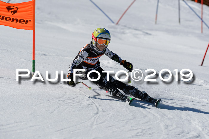 Ziener Cup WF,Finale, Quali + PSL, 30.03.2019