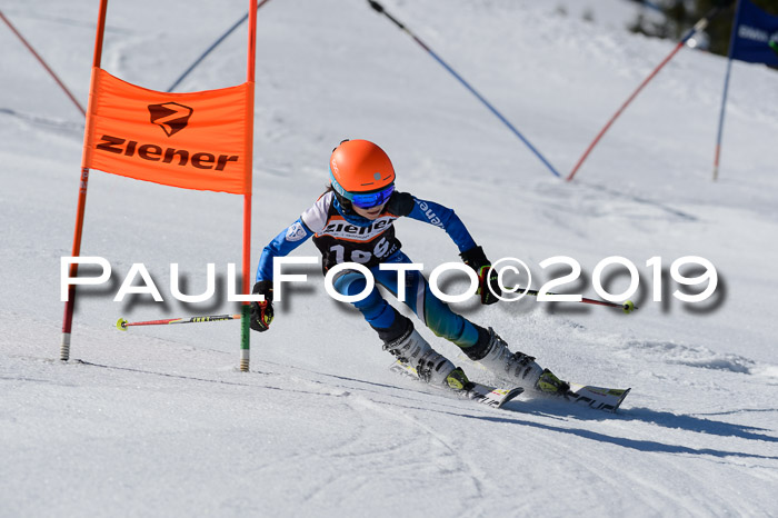 Ziener Cup WF,Finale, Quali + PSL, 30.03.2019