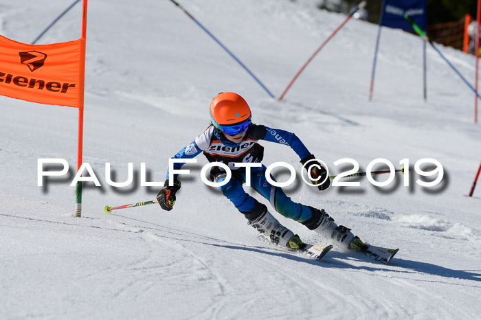Ziener Cup WF,Finale, Quali + PSL, 30.03.2019