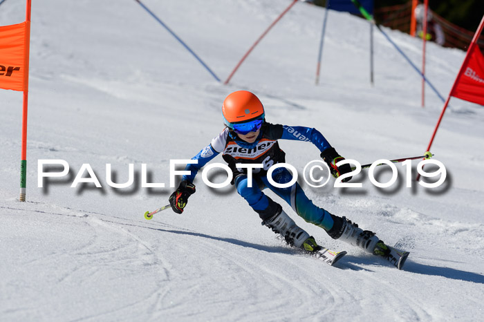 Ziener Cup WF,Finale, Quali + PSL, 30.03.2019