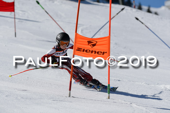 Ziener Cup WF,Finale, Quali + PSL, 30.03.2019