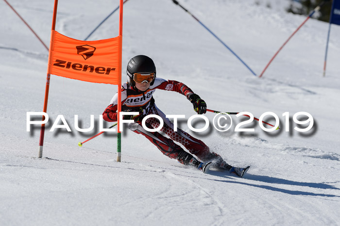 Ziener Cup WF,Finale, Quali + PSL, 30.03.2019