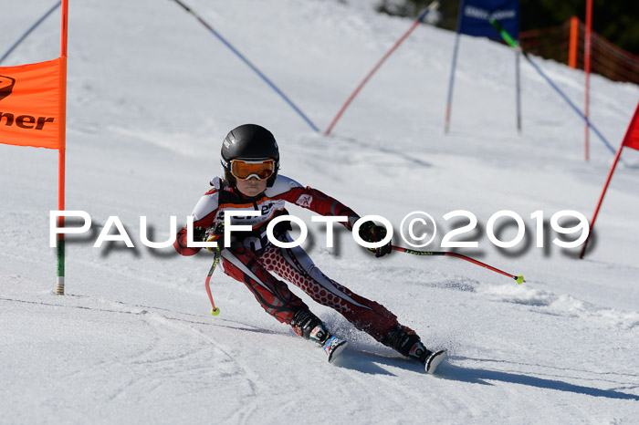 Ziener Cup WF,Finale, Quali + PSL, 30.03.2019