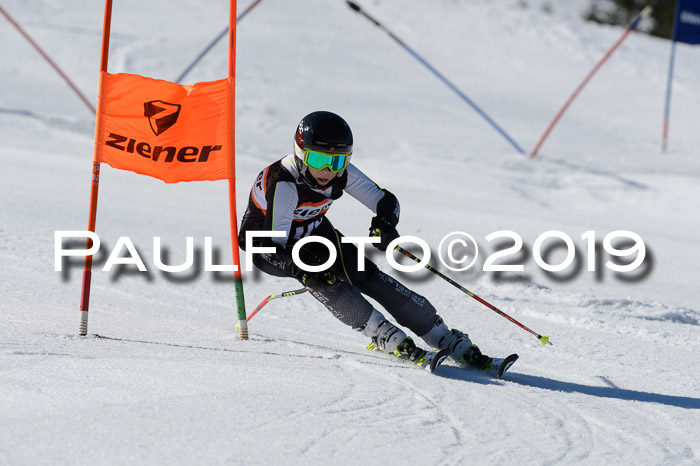 Ziener Cup WF,Finale, Quali + PSL, 30.03.2019