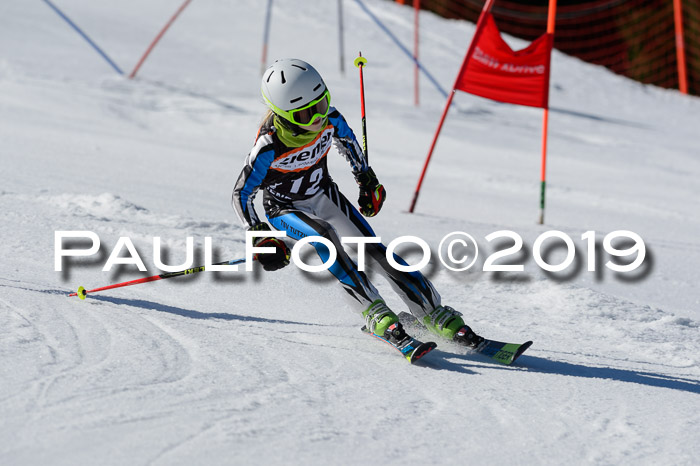 Ziener Cup WF,Finale, Quali + PSL, 30.03.2019