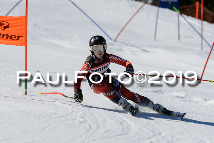 Ziener Cup WF,Finale, Quali + PSL, 30.03.2019