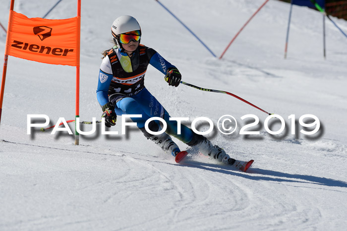 Ziener Cup WF,Finale, Quali + PSL, 30.03.2019