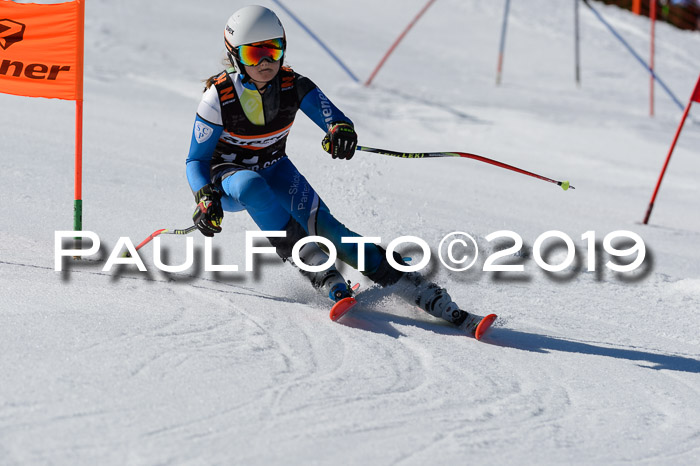 Ziener Cup WF,Finale, Quali + PSL, 30.03.2019