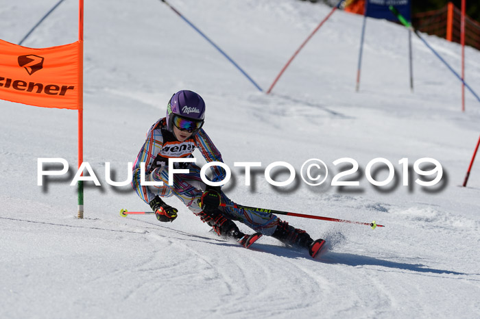 Ziener Cup WF,Finale, Quali + PSL, 30.03.2019