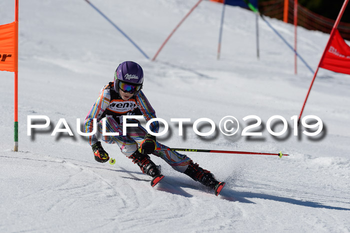 Ziener Cup WF,Finale, Quali + PSL, 30.03.2019