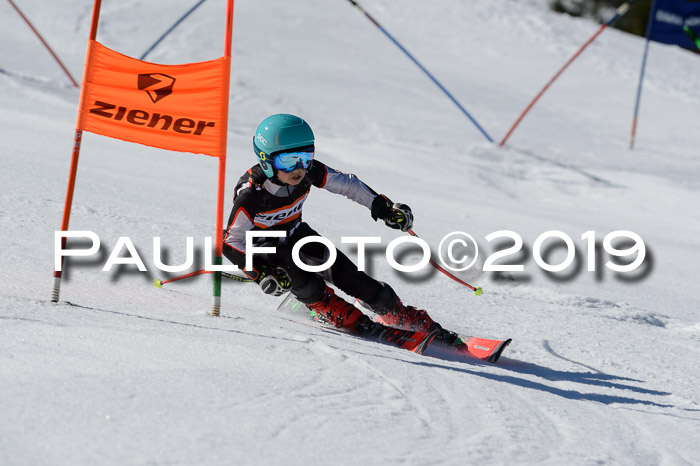 Ziener Cup WF,Finale, Quali + PSL, 30.03.2019