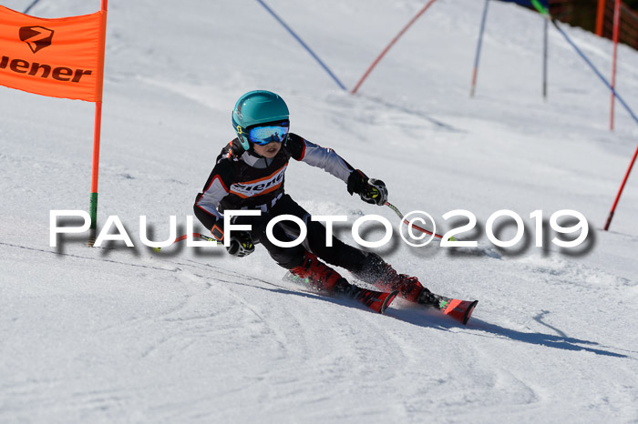 Ziener Cup WF,Finale, Quali + PSL, 30.03.2019