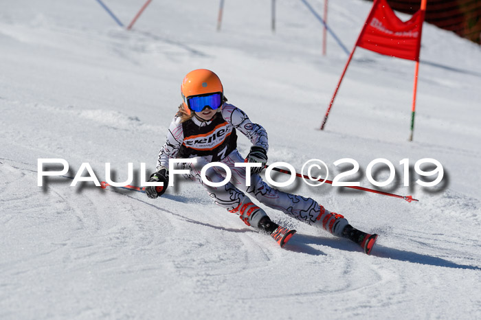 Ziener Cup WF,Finale, Quali + PSL, 30.03.2019