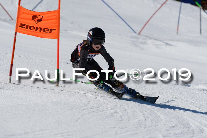 Ziener Cup WF,Finale, Quali + PSL, 30.03.2019
