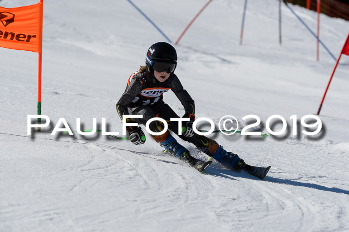 Ziener Cup WF,Finale, Quali + PSL, 30.03.2019