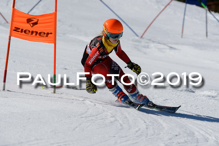 Ziener Cup WF,Finale, Quali + PSL, 30.03.2019