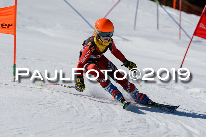 Ziener Cup WF,Finale, Quali + PSL, 30.03.2019
