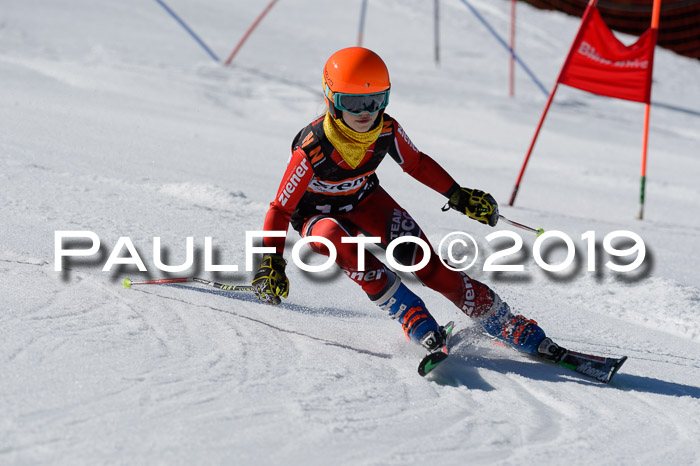 Ziener Cup WF,Finale, Quali + PSL, 30.03.2019