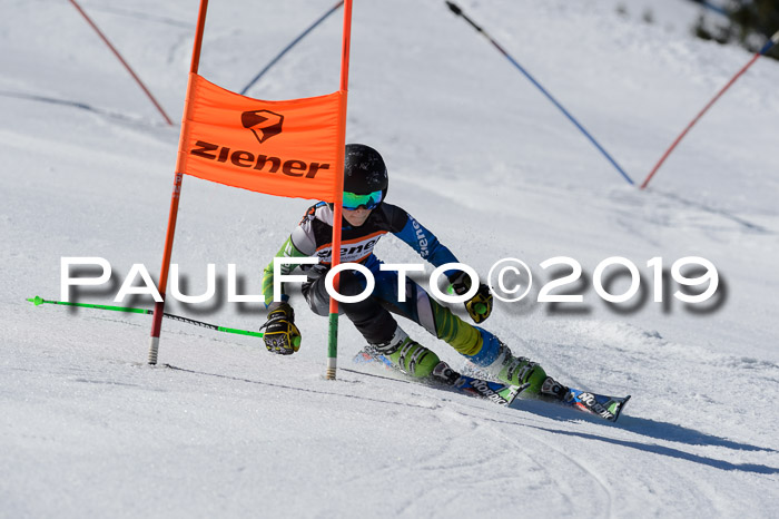 Ziener Cup WF,Finale, Quali + PSL, 30.03.2019