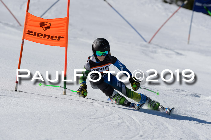 Ziener Cup WF,Finale, Quali + PSL, 30.03.2019