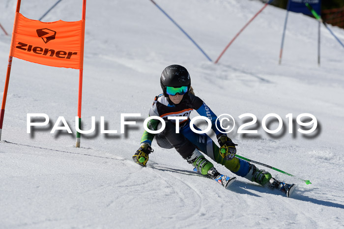 Ziener Cup WF,Finale, Quali + PSL, 30.03.2019