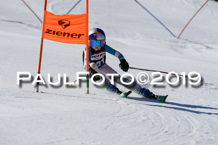 Ziener Cup WF,Finale, Quali + PSL, 30.03.2019