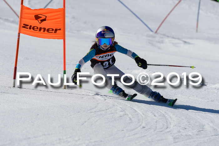 Ziener Cup WF,Finale, Quali + PSL, 30.03.2019