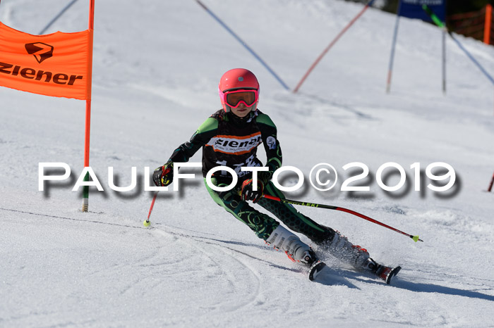 Ziener Cup WF,Finale, Quali + PSL, 30.03.2019