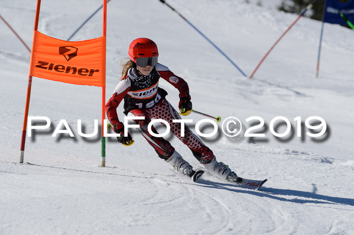Ziener Cup WF,Finale, Quali + PSL, 30.03.2019