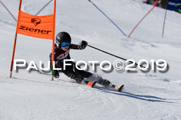 Ziener Cup WF,Finale, Quali + PSL, 30.03.2019